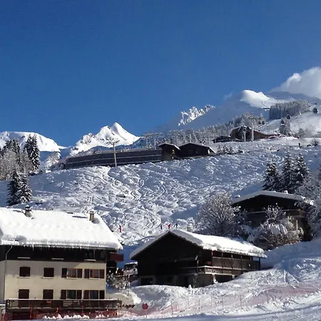 Chardonnerets 5 La Clusaz